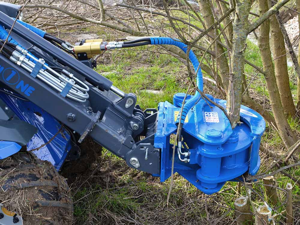 Lesníctvo - Kategória