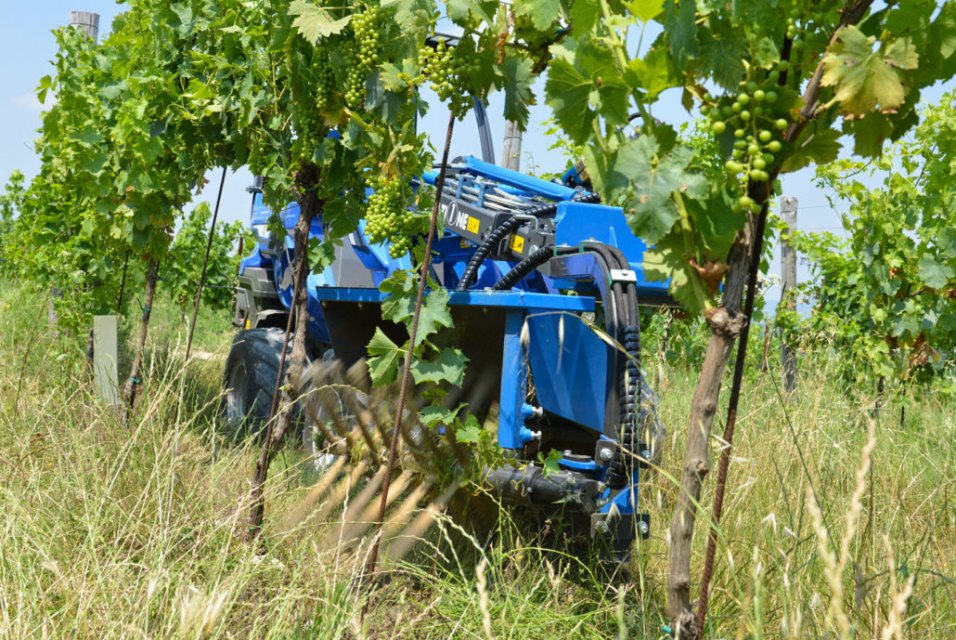 _multione-c890436-odstranovac-vyhonku_2