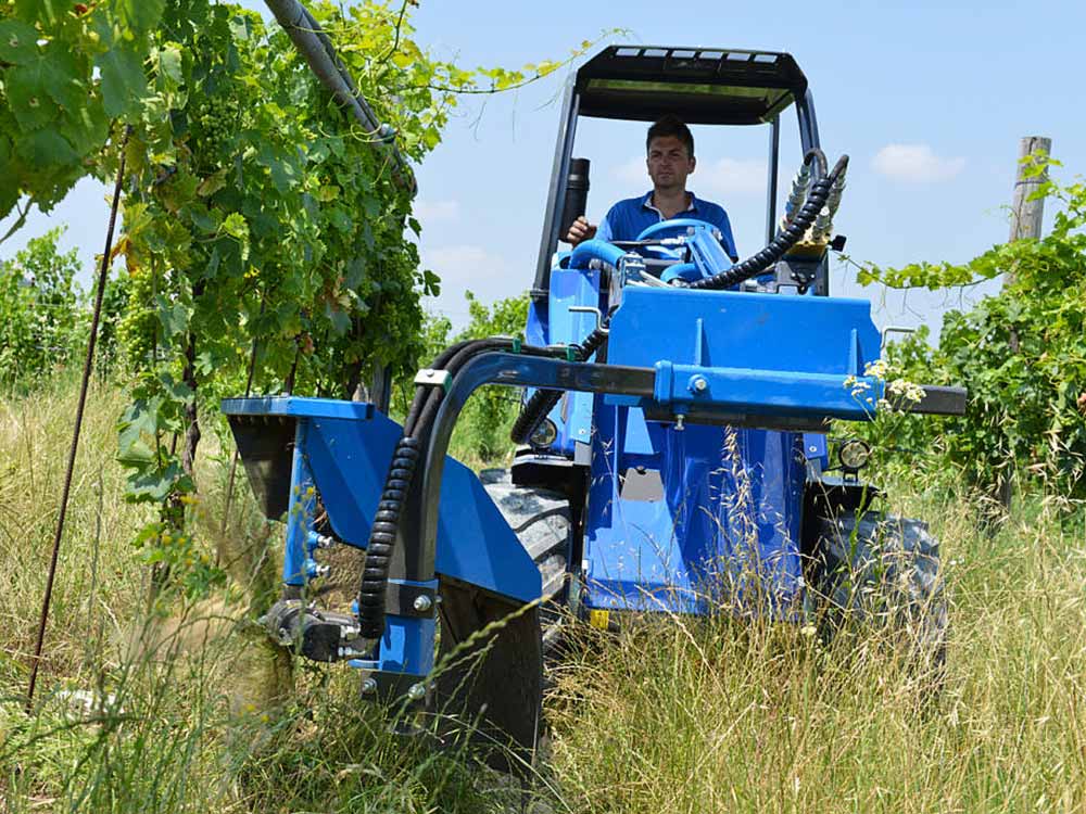 Starostlivosť o vinice - Kategórie